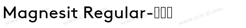 Magnesit Regular字体转换